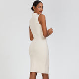 Women's Evening Dress Vest Dress Sleeveless Sheath Half Turtleneck Slim Fit Bandage One-Piece Dress Dress