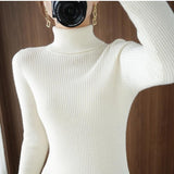 Women Knitwear Autumn and Winter Turtleneck Knitwear Sweater