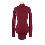 Women Dresses Turtleneck Hip Skirt Sexy