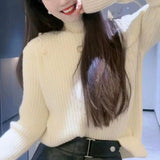 Women Knitted Pullover Autumn and Winter Turtleneck Knitted Pullover Sweater