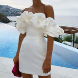 Women Dresses Sexy Evening Dress (Zns0409)