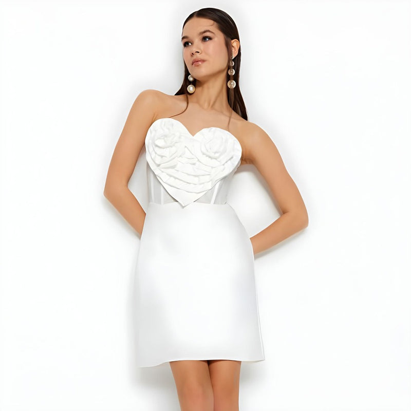 Women Dresses Sexy Dress Dress Skirt (Zns0409)