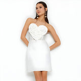 Women Dresses Sexy Dress Dress Skirt (Zns0409)