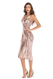 Women's Evening Gown Sexy V-neck Sleeveless Sequins Dress