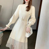 Women Knitted Pullover Autumn and Winter Knitting Dress